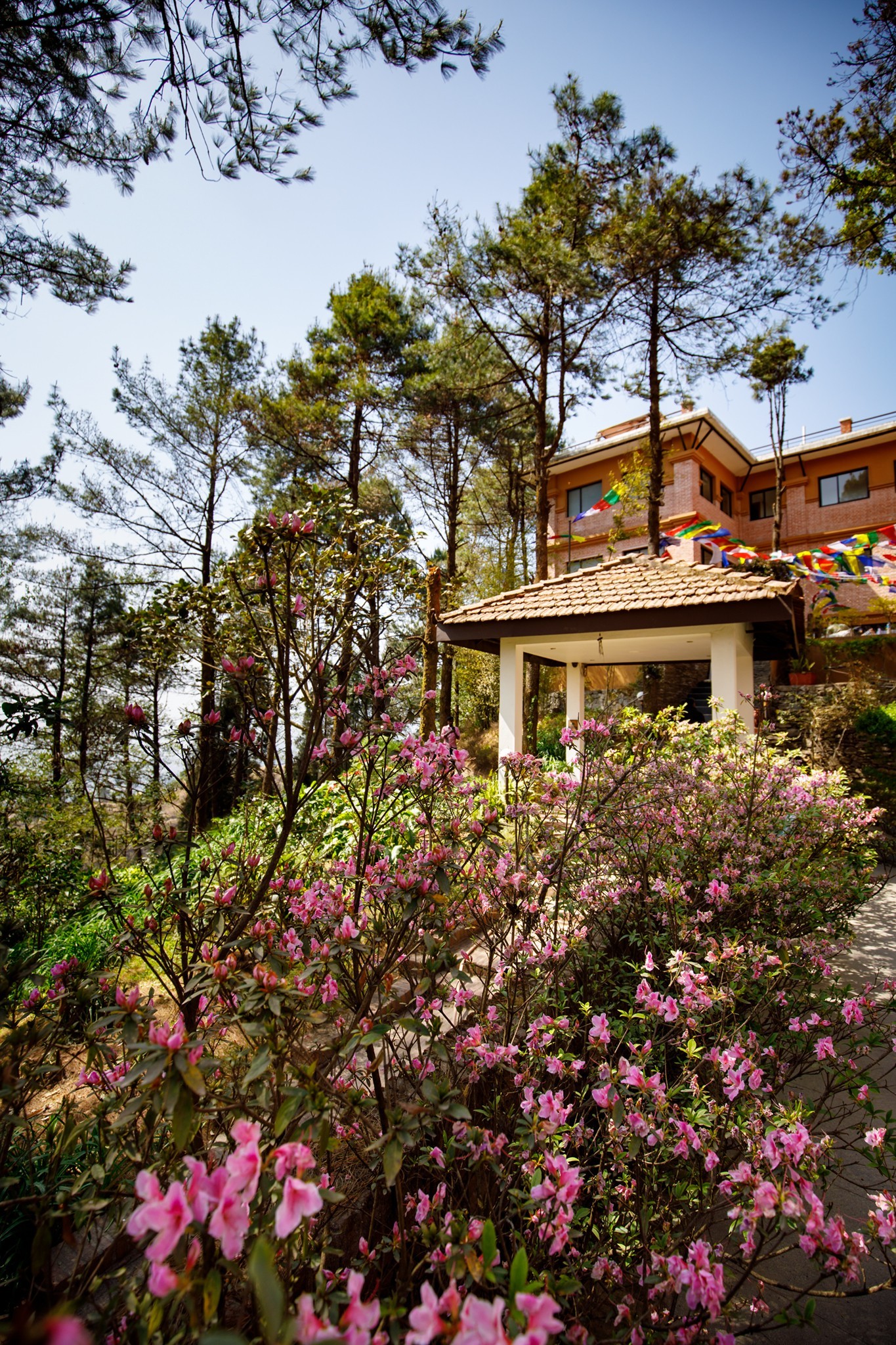 Test Hotel Kathmandu